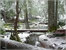 comp_Clearwater_Falls_(13).jpg
