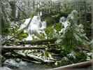 Clearwater Falls, OR