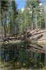 Lolly Ponds / Lassen Volcanic NP