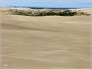 comp_Umpqua_Dunes_near_J__Dellenback_Dunes_Trail_(39).jpg