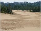 Umpqua Dunes / Oregon Dunes NRA