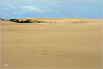 Umpqua Dunes / Oregon Dunes NRA