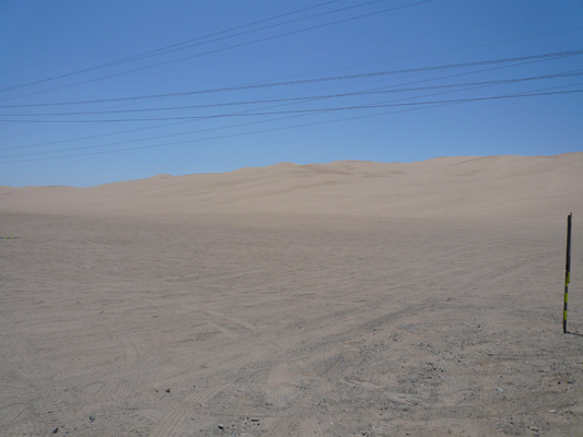 Algodones Dunes
