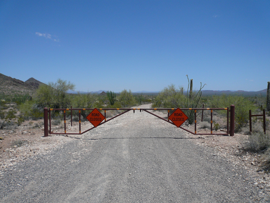 Organ Pipe NM
