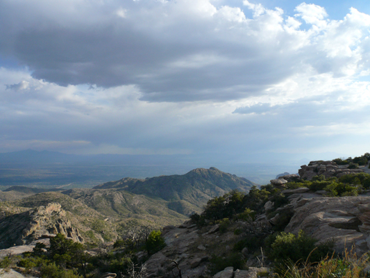 Mt. Lemmon
