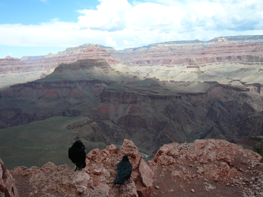 Grand Canyon

