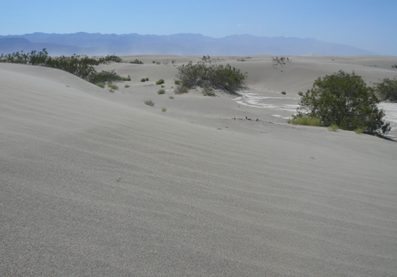 Death Valley
