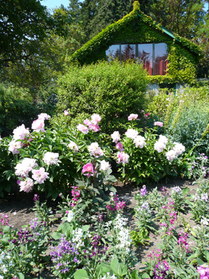 Butchart Gardens
