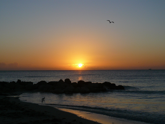 Sonnenaufgang Miami Beach
