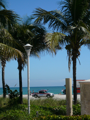 Miami Beach
