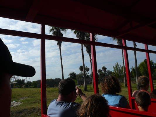 Busch Gardens Tampa
