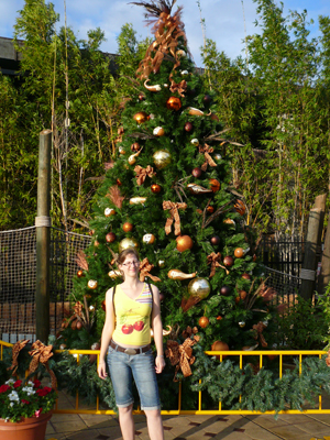 Busch Gardens Tampa
