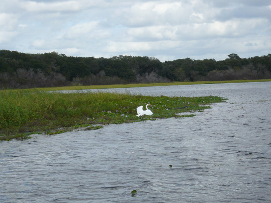 Myakka River SP, Florida
