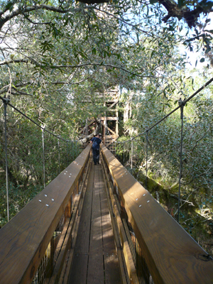 Myakka River SP, Florida
