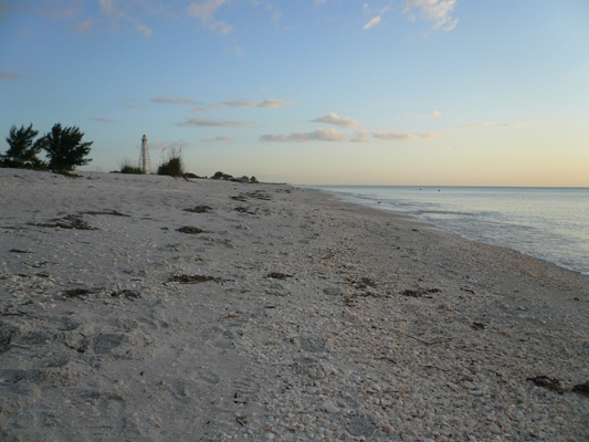 Gasparilla Beach 
