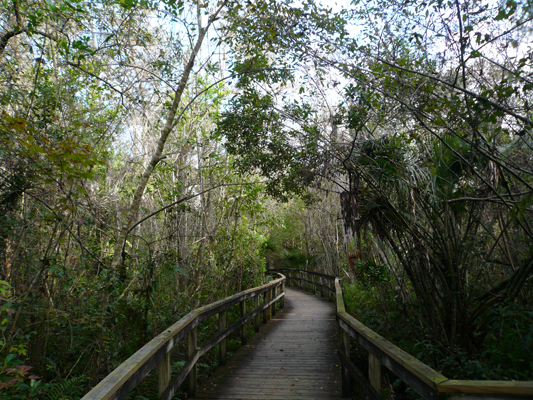 Fakahatchee Strand Preserve
