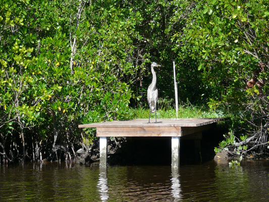 Everglades NP
