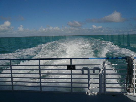 Glass Bottom Boat Tour John Pennekamp Coral Reef

