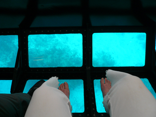 Glass Bottom Boat Tour John Pennekamp Coral Reef

