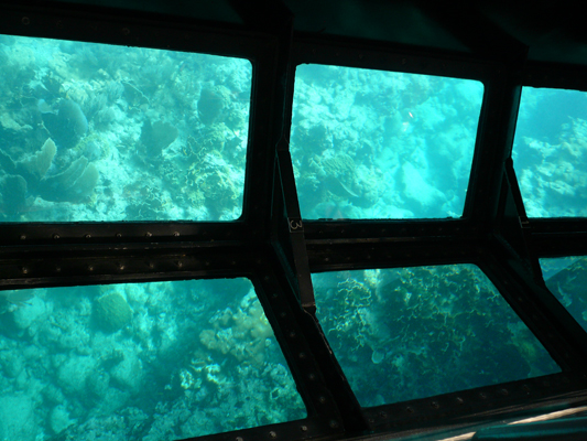 Glass Bottom Boat Tour John Pennekamp Coral Reef
