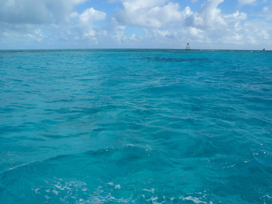 Glass Bottom Boat Tour John Pennekamp Coral Reef
