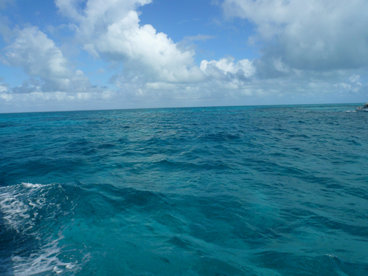 Glass Bottom Boat Tour John Pennekamp Coral Reef
