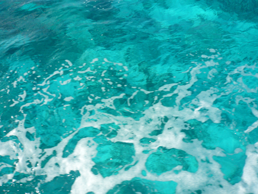 Glass Bottom Boat Tour John Pennekamp Coral Reef
