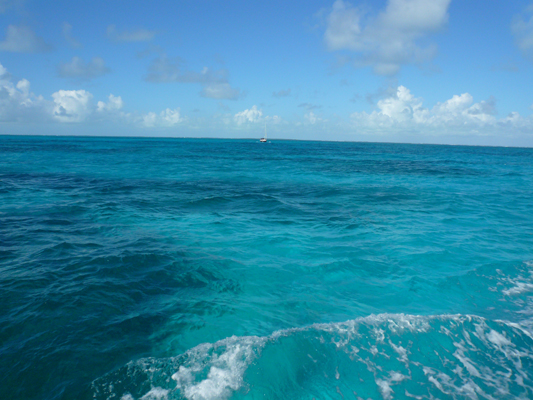 Glass Bottom Boat Tour John Pennekamp Coral Reef
