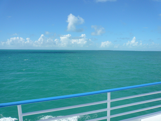 Glass Bottom Boat Tour John Pennekamp Coral Reef
