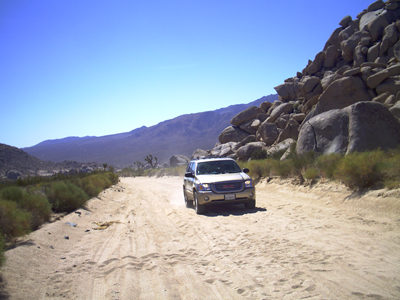 Joshua Tree NP
