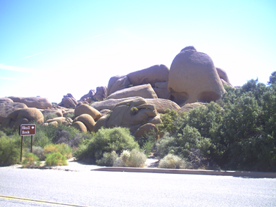 Joshua Tree NP
