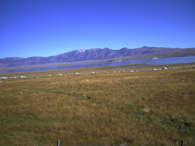 IMAG0401.jpg