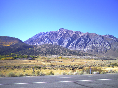 IMAG0402.jpg