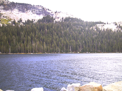 Yosemite NP
