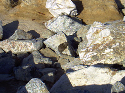 IMAG0624.jpg
