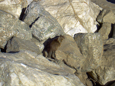 IMAG0628.jpg