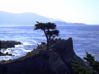 Highway one
