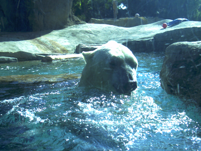 San Diego Zoo
