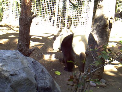 San Diego Zoo
