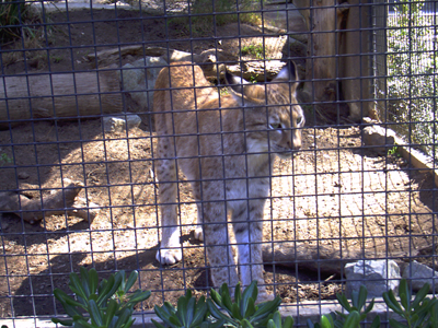 San Diego Zoo

