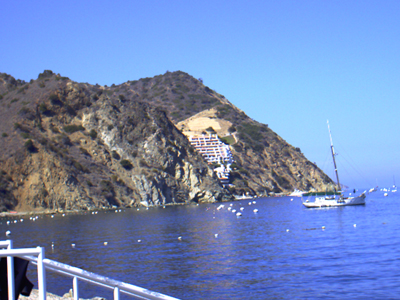 Santa Catalina Island

