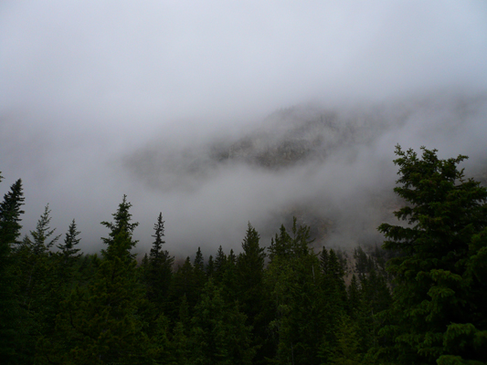 Yoho NP
