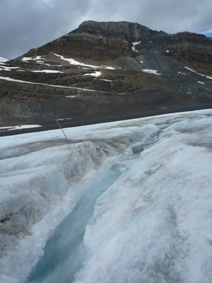 Athabasca Glacier
