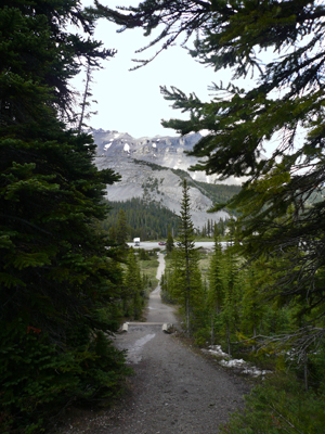 Parker Ridge Trail
