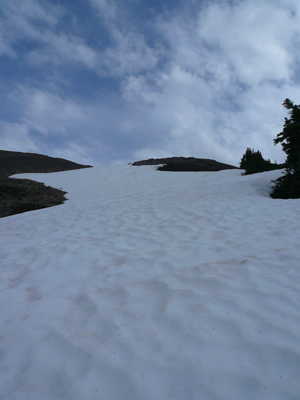 Parker Ridge Trail
