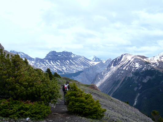 Parker Ridge Trail
