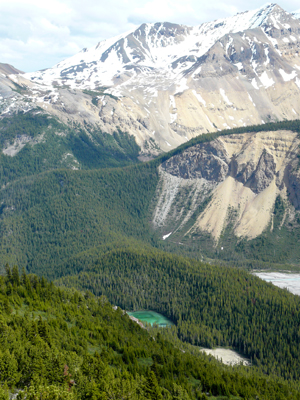 Parker Ridge Trail

