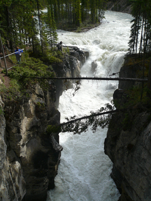 Jasper NP
