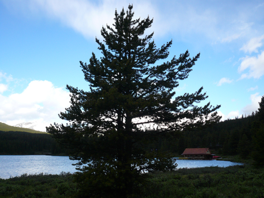 Maligne Lake

