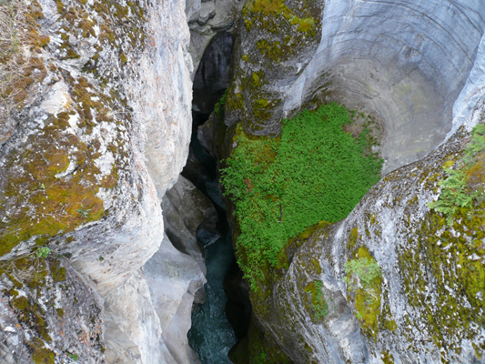 Maligne Canyon
